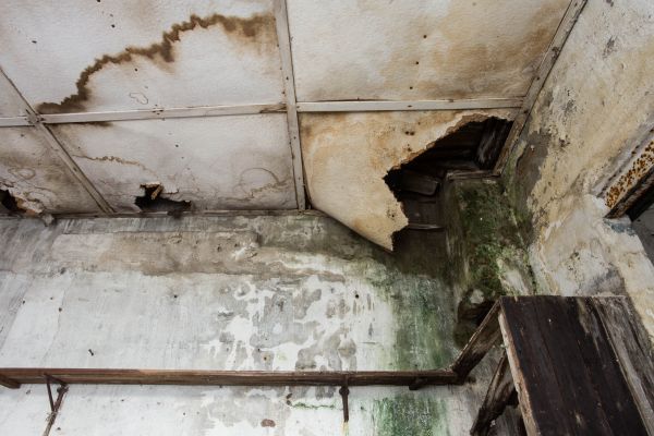 Water Damage Service in Burnsville