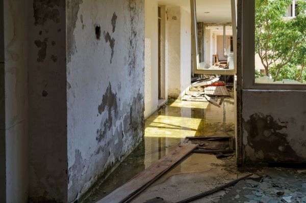 Cost of Water Removal Service in Burnsville