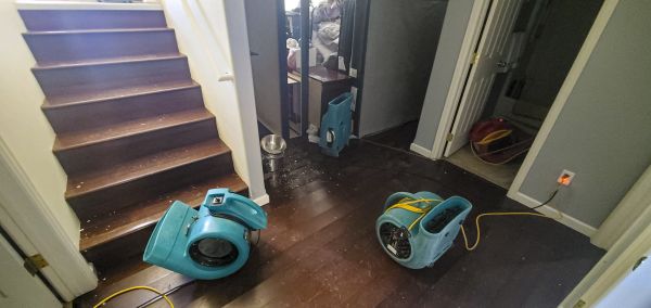 Water Damage Remediation in Burnsville